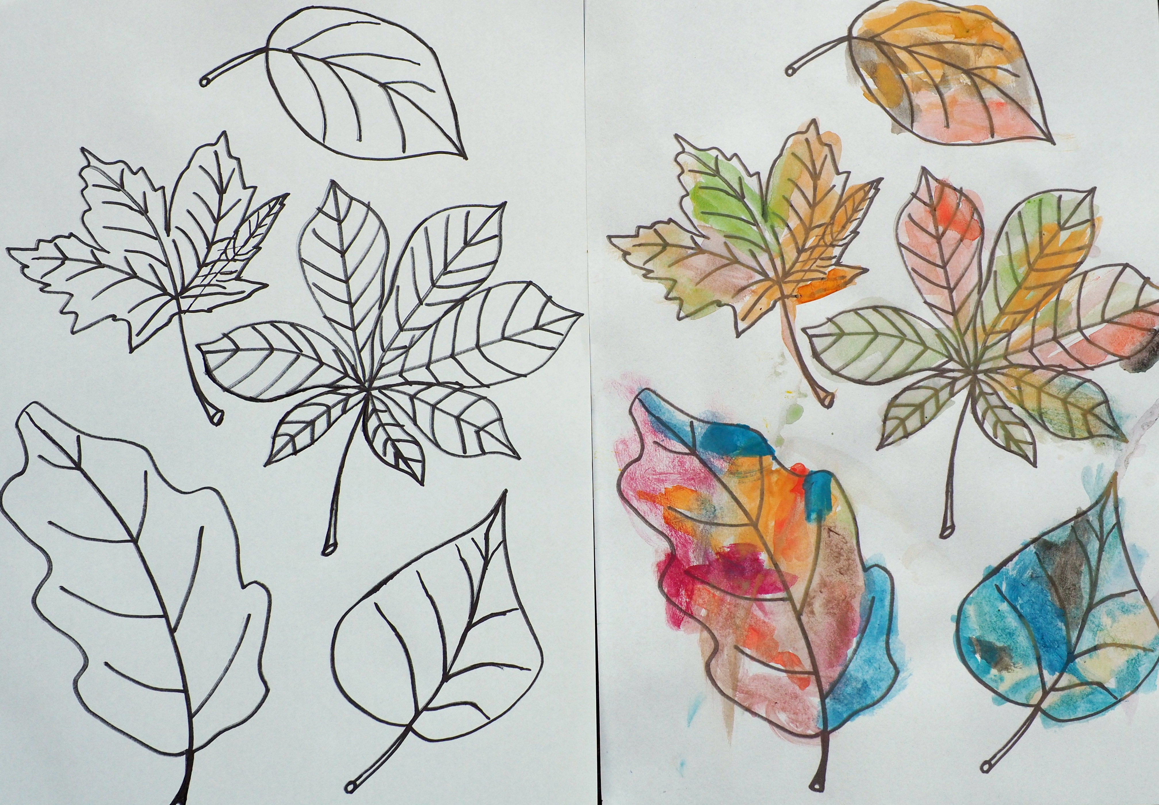 liście kolorowanka, kolorowanki jesień, liscie do kolrowania, rysunek liści, prace plastyczne przedszkole jesień