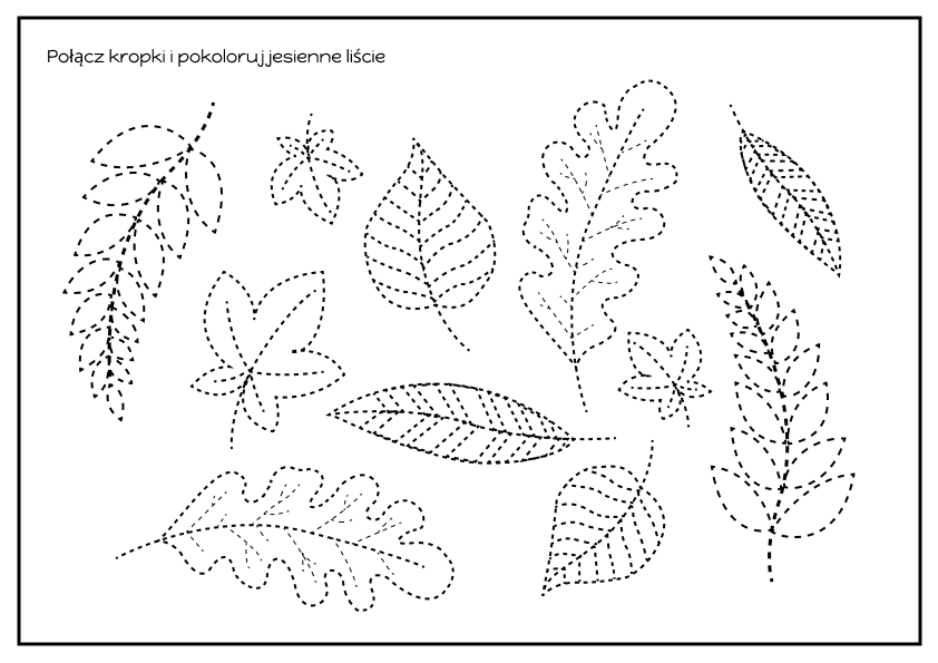 rysowanie liści po śladzie, karty pracy jesień, liście kolorowanka, jesienne karty pracy