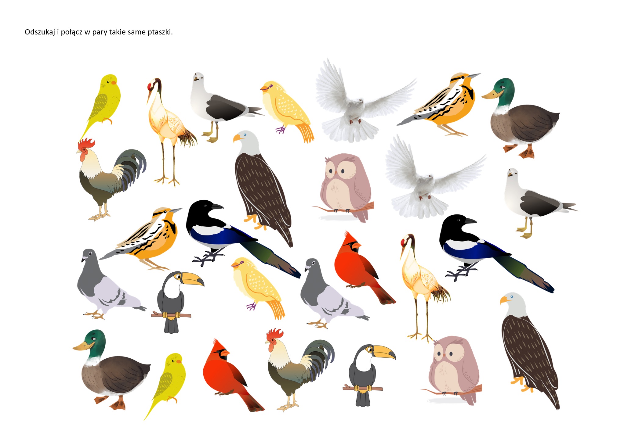 Takie same ptaszki