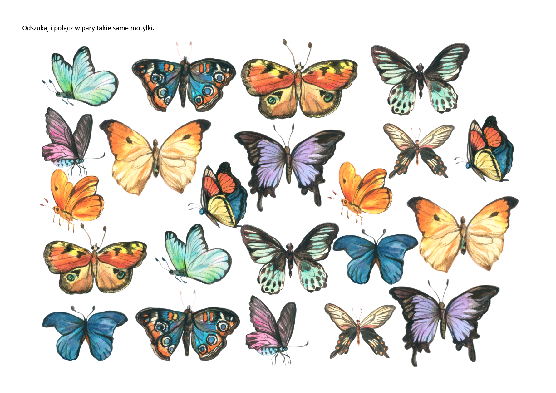 Motylki – odszukaj pary