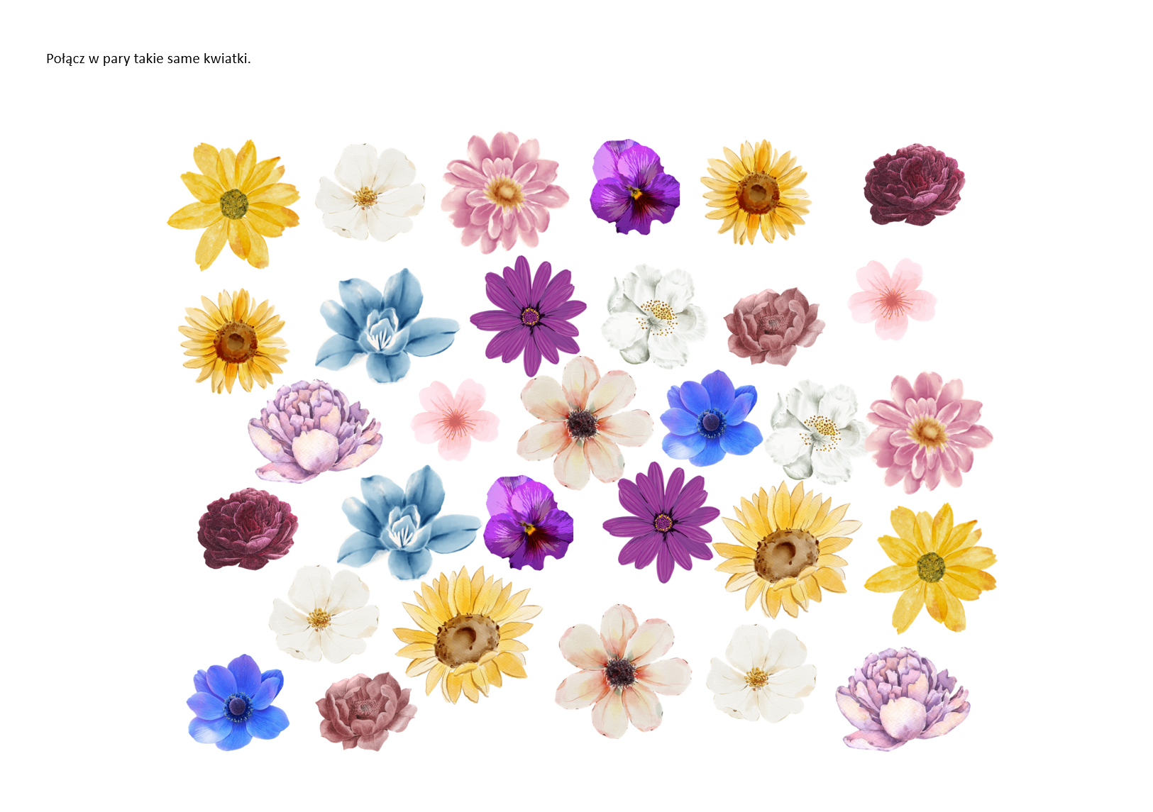Połącz w pary kwiatki