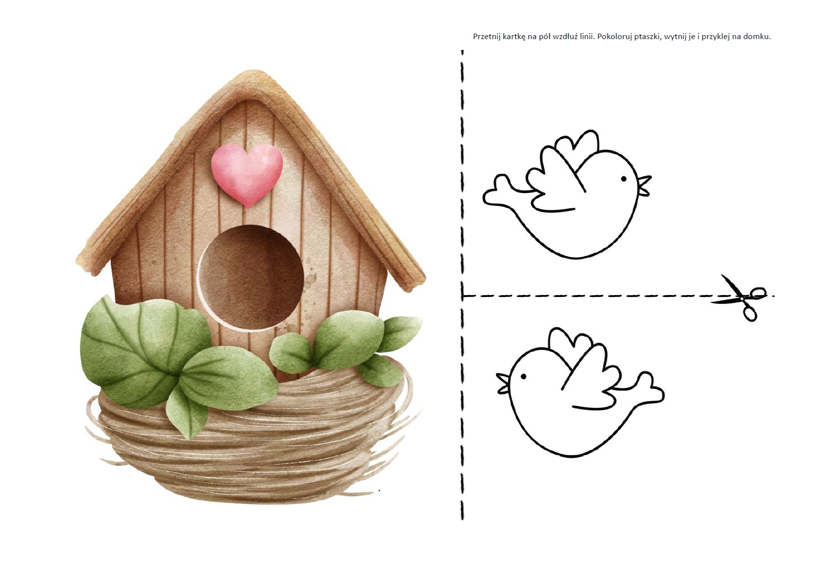 Ptaszki w budce lęgowej